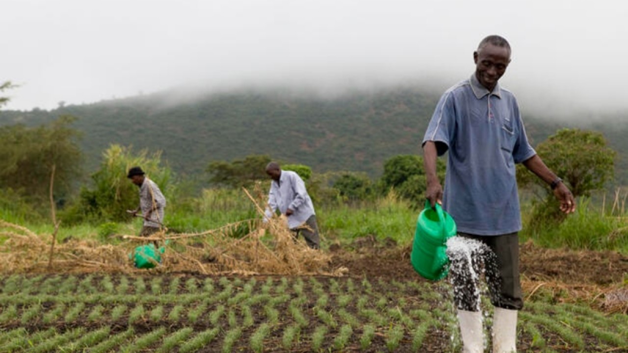 Sustainable Agriculture And Food Security: Necessity Not ... Image 1